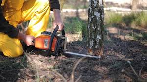 Lawn Grading and Leveling in Walnut Creek, CA